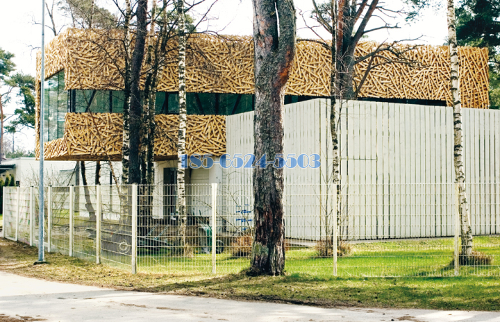 爱沙尼亚住宅幻想屋木纹造型